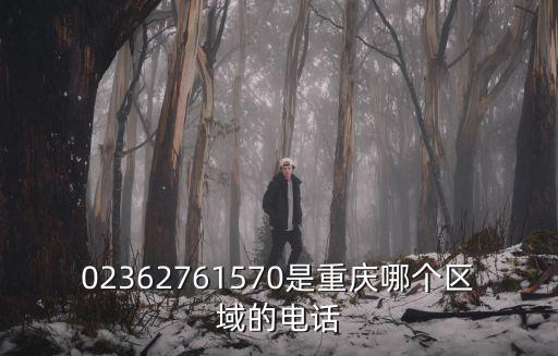 02362761570是重慶哪個區域的電話