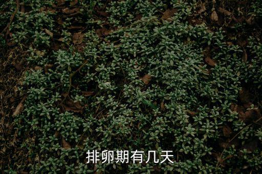 排卵期有幾天