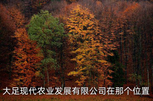 大足現(xiàn)代農(nóng)業(yè)發(fā)展有限公司在那個位置