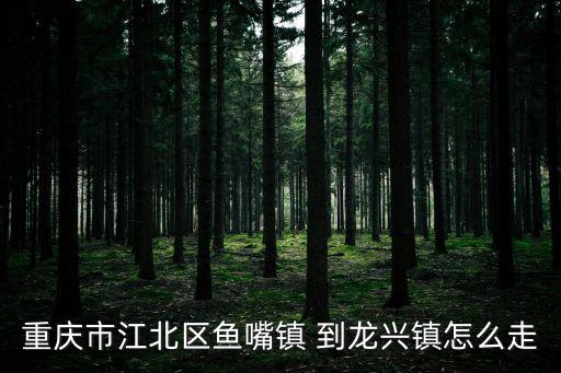 重慶市江北區(qū)魚(yú)嘴鎮(zhèn) 到龍興鎮(zhèn)怎么走