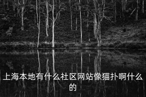 上海本地有什么社區網站像貓撲啊什么的