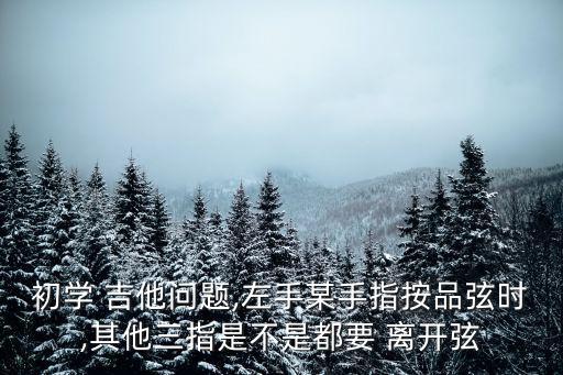 初學 吉他問題,左手某手指按品弦時,其他三指是不是都要 離開弦