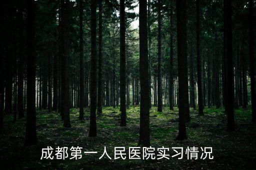 成都市百萬圓桌 實習，想知道成都市 weijiahggongyuandadao 在哪