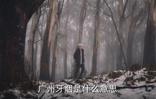 廣州牙煙是什么意思