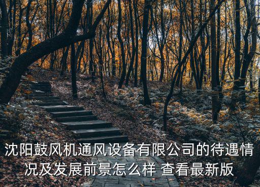 天津市通風設備有限公司孫富長，沈陽鼓風機通風設備有限公司的待遇情況及發(fā)展前景怎么樣 查看最新版