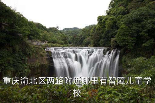 重慶渝北區(qū)兩路附近哪里有智障兒童學校