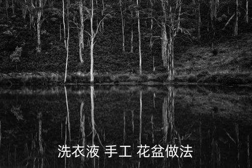 洗衣液 手工 花盆做法