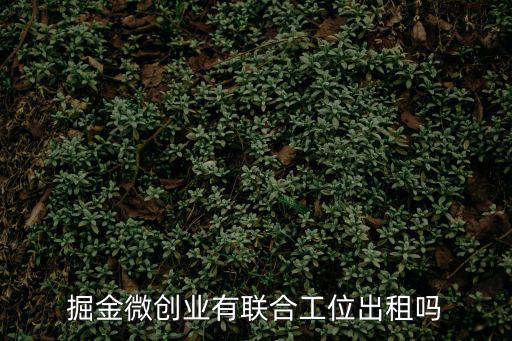 掘金微創(chuàng)業(yè)有聯(lián)合工位出租嗎