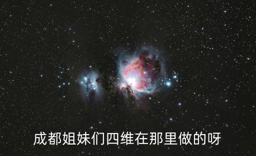成都市社保四維系統，成都姐妹們四維在那里做的呀