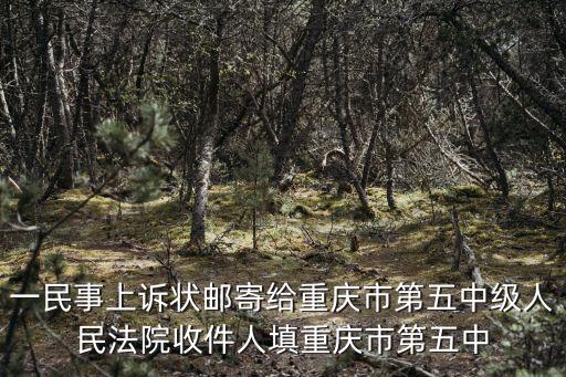 一民事上訴狀郵寄給重慶市第五中級人民法院收件人填重慶市第五中