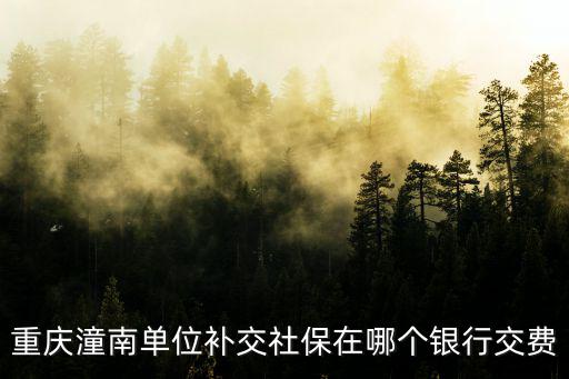重慶市潼南區社保局報備電話，重慶市潼南縣醫保中心電話是多少