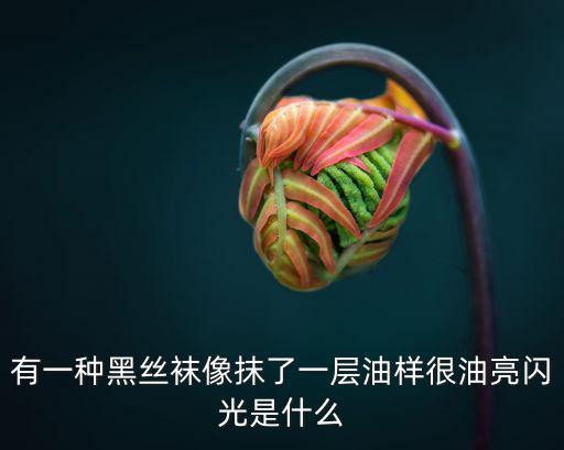 有一種黑絲襪像抹了一層油樣很油亮閃光是什么