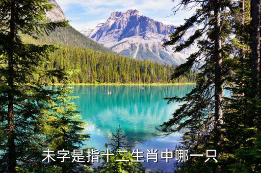午馬未羊,中國古代編年法以12天配12地支表示善良堅持友誼