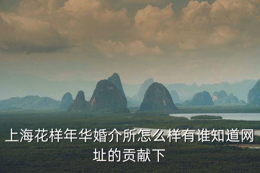 上?；幽耆A婚介所怎么樣有誰(shuí)知道網(wǎng)址的貢獻(xiàn)下