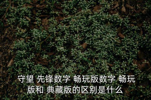 守望先鋒典藏版和暢玩版區(qū)別,守望先鋒數(shù)字版和典藏版玩法不同