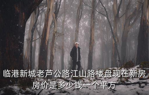 臨港新城老蘆公路江山路樓盤現在新房房價是多少錢一個平方