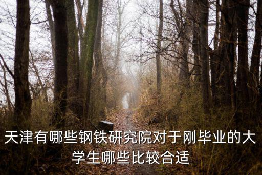 天津有哪些鋼鐵研究院對于剛畢業的大學生哪些比較合適