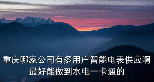重慶市金長城電表廠，重慶北碚區(qū)蔡家崗鎮(zhèn)鳳棲路2號 是什么公司