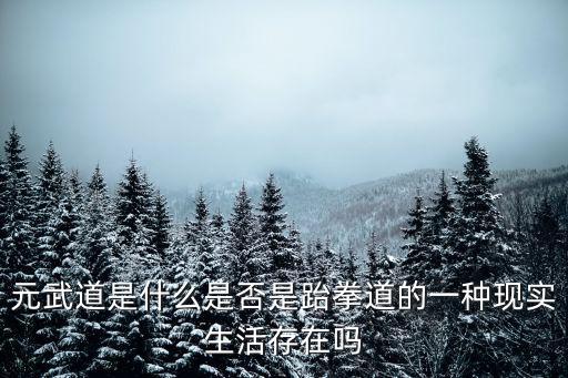 元武道是什么是否是跆拳道的一種現實生活存在嗎