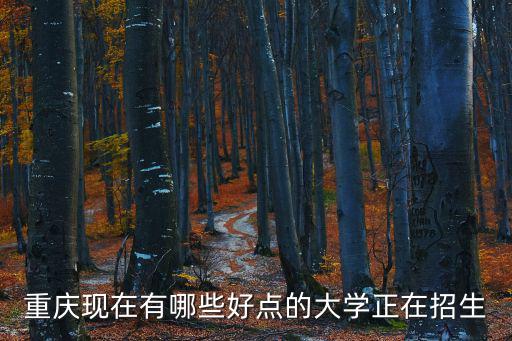 重慶現在有哪些好點的大學正在招生