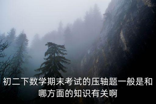 初二下數學期末考試的壓軸題一般是和哪方面的知識有關啊