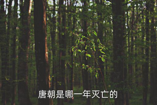 唐朝是哪一年滅亡的