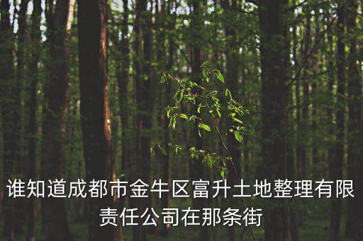 誰知道成都市金牛區富升土地整理有限責任公司在那條街