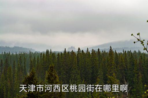 天津市河西區桃園街在哪里啊