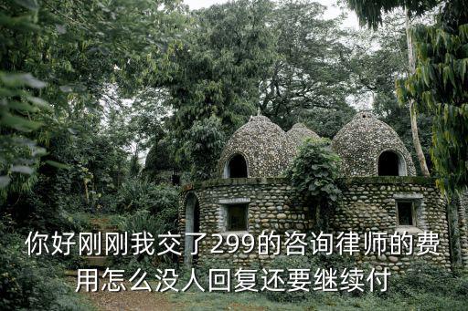 你好剛剛我交了299的咨詢律師的費用怎么沒人回復還要繼續付