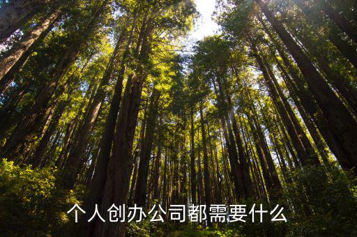 個人創辦公司都需要什么