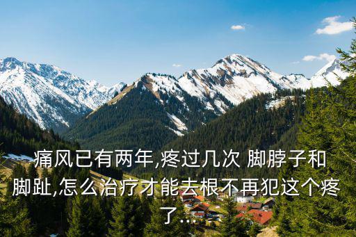  痛風已有兩年,疼過幾次 腳脖子和腳趾,怎么治療才能去根不再犯這個疼了...