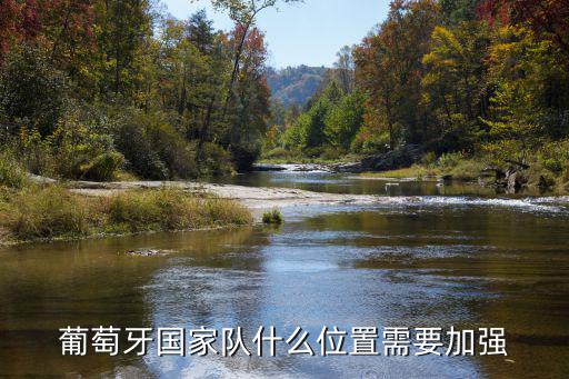 葡萄牙國家隊什么位置需要加強