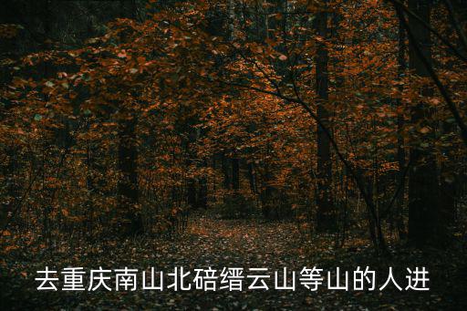 重慶市縉云山人防主任，關于縉云山有疑求解