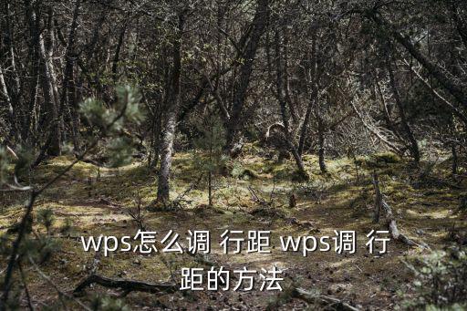  wps怎么調 行距 wps調 行距的方法