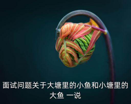 面試問題關于大塘里的小魚和小塘里的大魚 一說