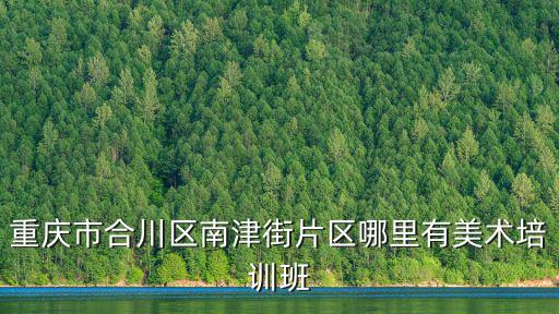 重慶市合川區南津街片區哪里有美術培訓班