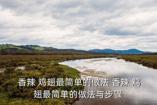  香辣 雞翅最簡單的做法 香辣 雞翅最簡單的做法與步驟