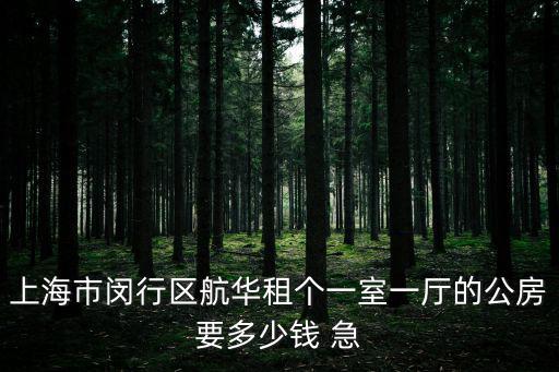 上海市閔行區航華租個一室一廳的公房要多少錢 急