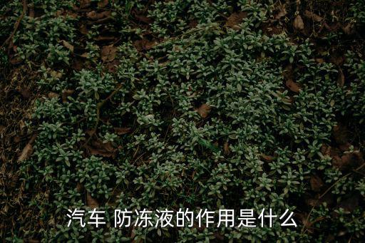 防凍液的作用,汽車防凍液體作用大影響汽車性能和使用壽命