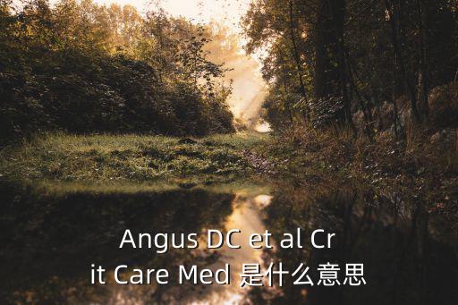 Angus DC et al Crit Care Med 是什么意思