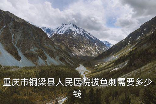 重慶市銅梁區巨恒紙業，想知道 重慶市 銅梁生活向導報 在哪