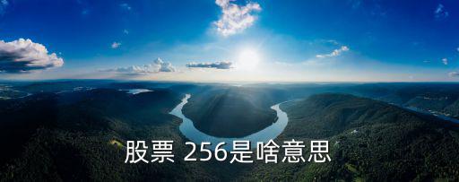股票 256是啥意思