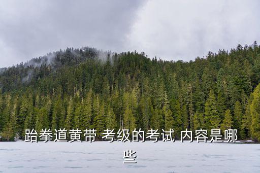 跆拳道考級內容,跆拳道考級分為九段升級要求嚴格
