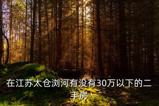在江蘇太倉瀏河有沒有30萬以下的二手房