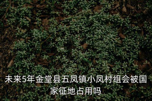 未來5年金堂縣五鳳鎮(zhèn)小鳳村組會被國家征地占用嗎