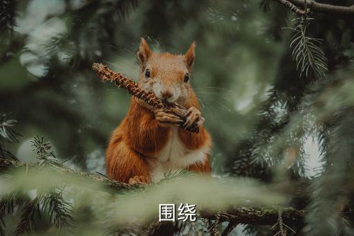 人生第一粒扣子,我的理解是:扣好人生第一粒扣子走好