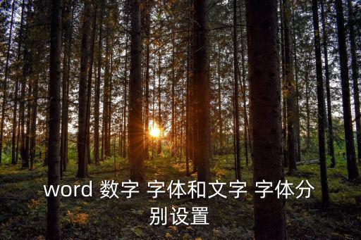 word 數字 字體和文字 字體分別設置