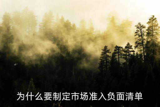 為什么要制定市場(chǎng)準(zhǔn)入負(fù)面清單