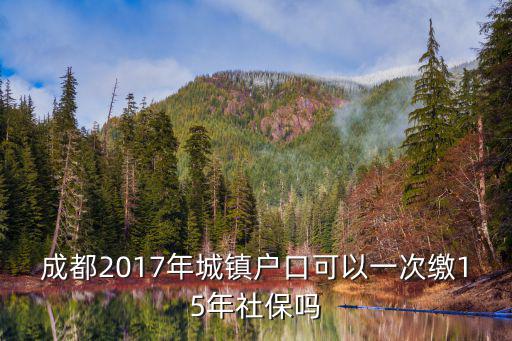 成都2017年城鎮(zhèn)戶口可以一次繳15年社保嗎