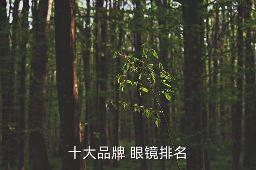 十大品牌 眼鏡排名